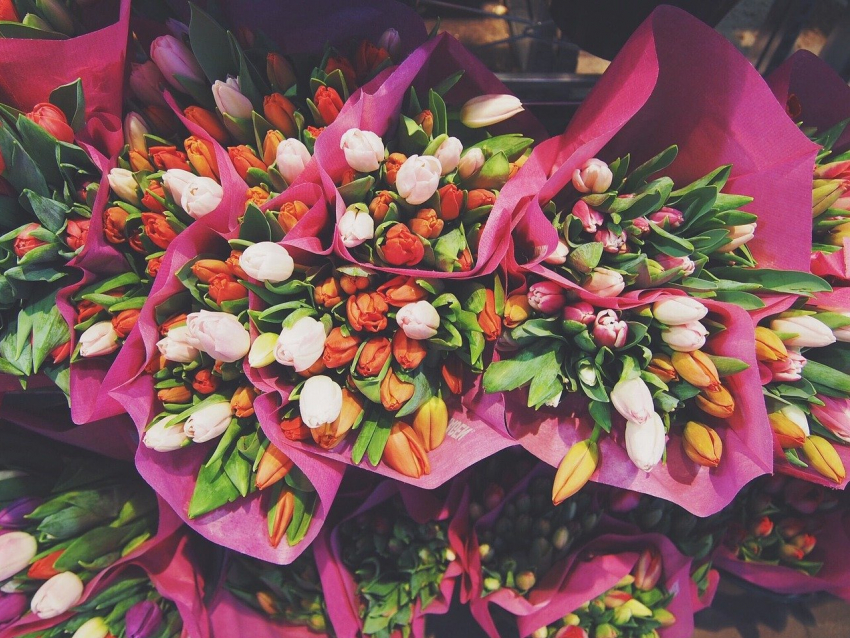 Четверть миллиона на закупку цветов выделяют из бюджета Волжского