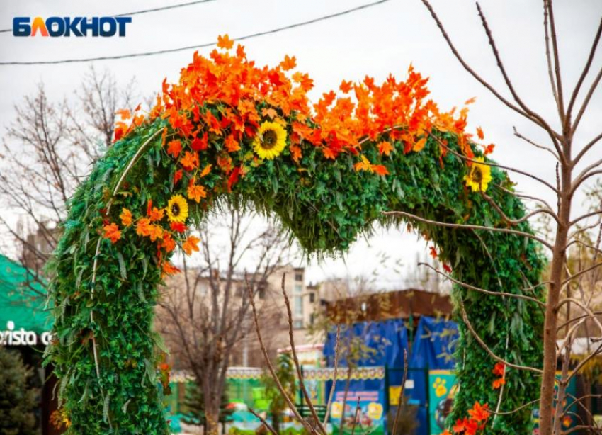 Топ -5 самых не романтических мест в Волжском в ноябре