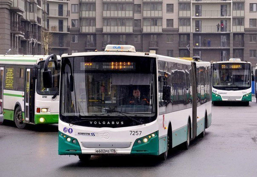 Волжские автобусы покорят Москву и Тольятти