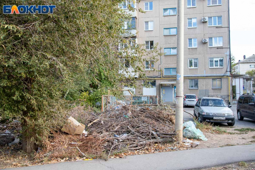 Спиленные ветки вне закона: в Волжском будут наказывать УК за свалки из сухостоя