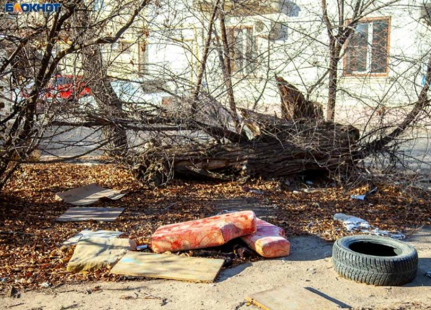 Волжский занял 4 место во всероссийском ТОПе городов по раздельному сбору мусора