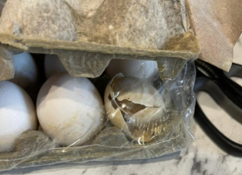 Яйца с личинками доставляют из магазина «Лента» в Волжском