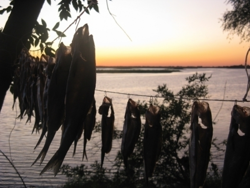 Рыбаки региона штурмуют интересными экземплярами конкурс «Клёвый улов"