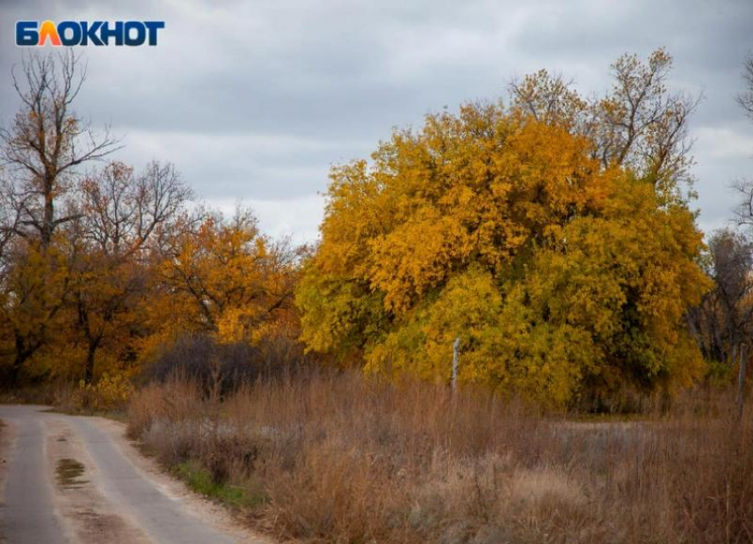 Пасмурный день и холодный ветер ожидают волжан во вторник: прогноз погоды