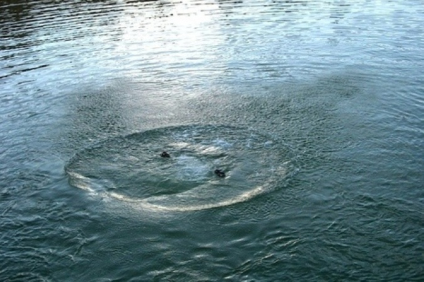 Под Волгоградом разыскивают тело утонувшего в реке Медведице пенсионера