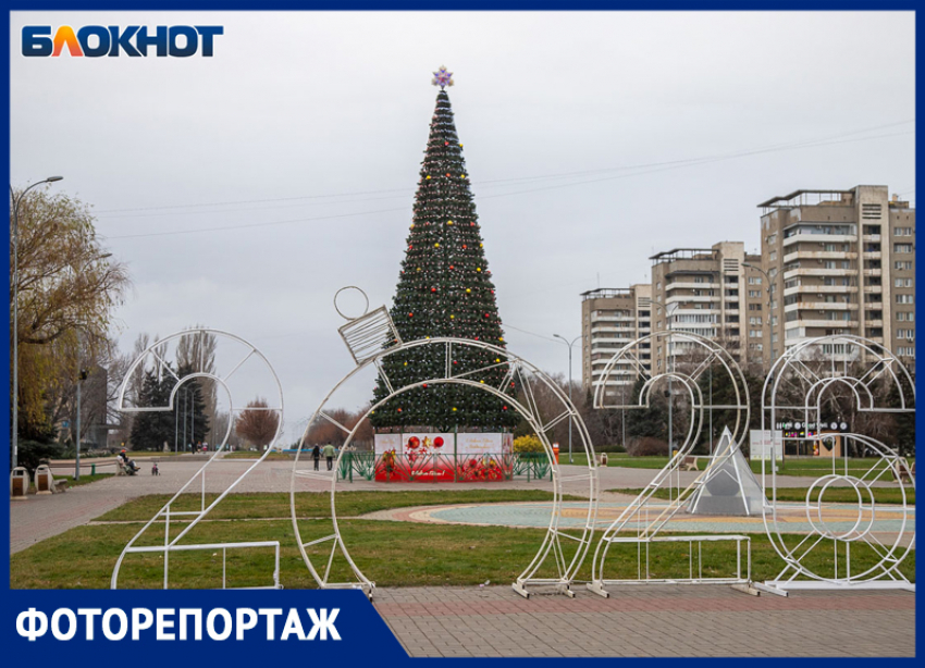 Десятки елок в разных уголках города: Волжский готовится к Новому году!