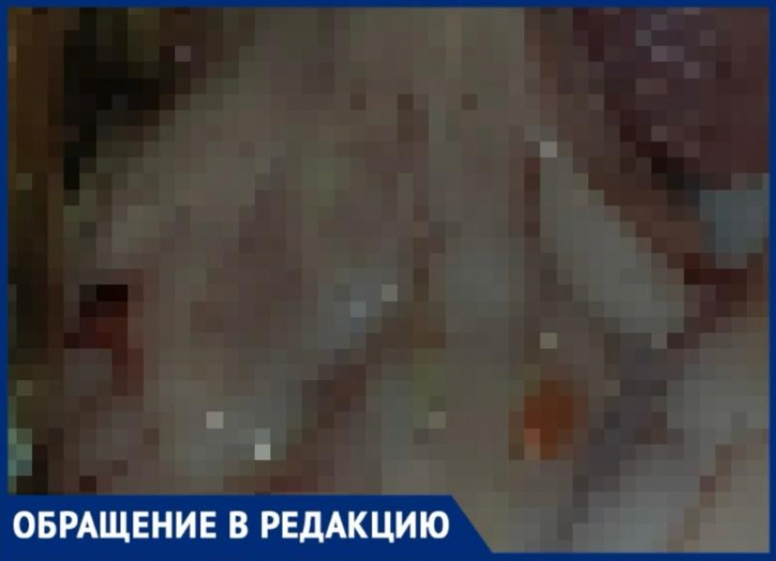 Жительница Волжского обнаружила подозрительных паразитов в заказанной рыбе