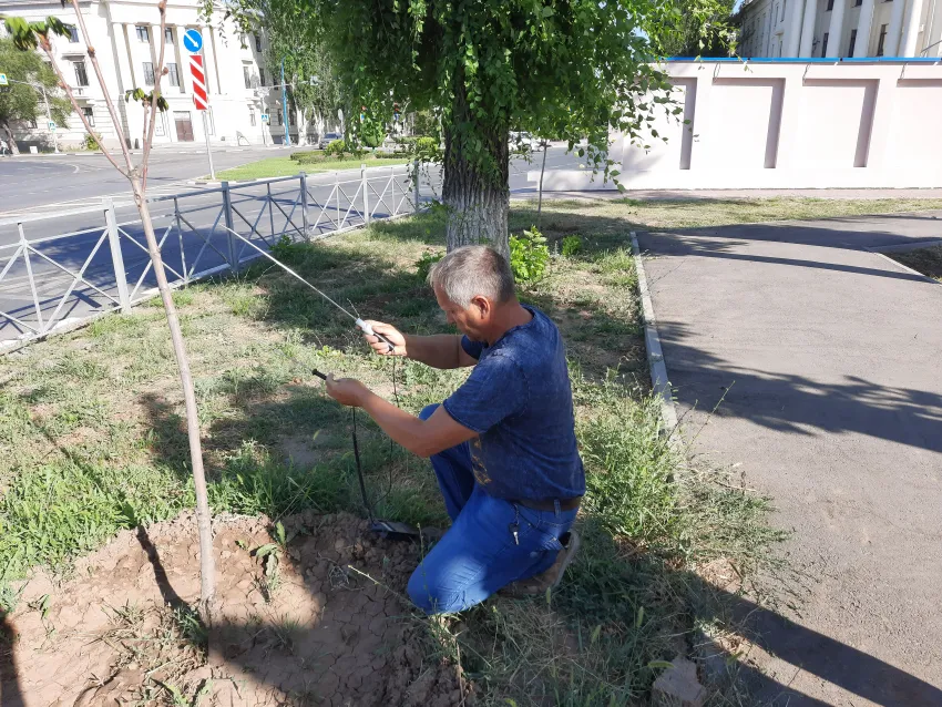 В Волжском выявили ненадлежащий полив зеленых насаждений