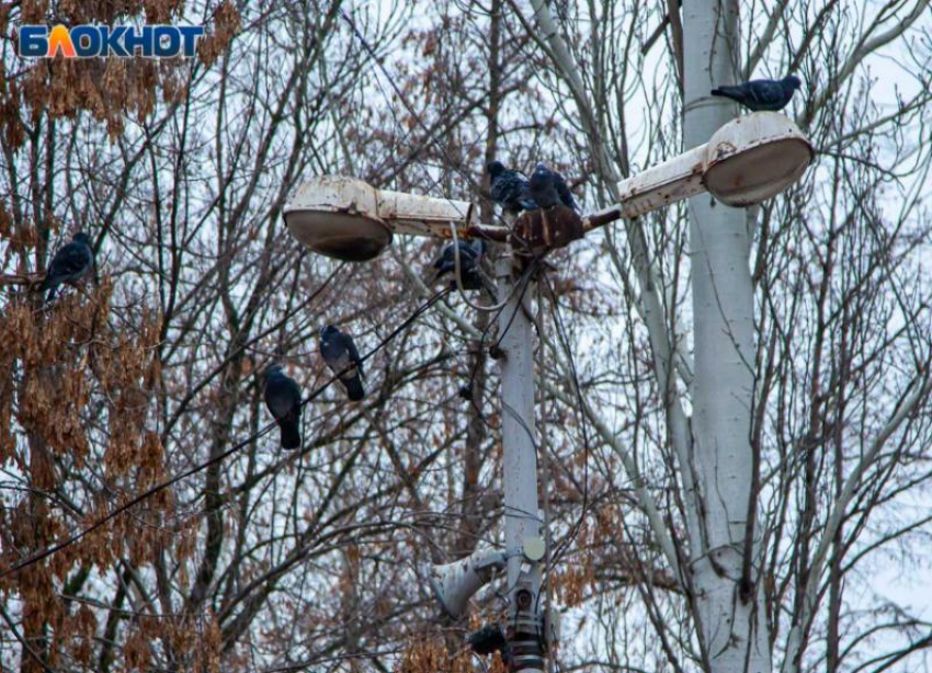 Пасмурная и теплая суббота ожидает волжан: прогноз погоды