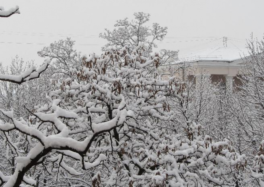 Пасмурная и морозная погода ожидается в Волжском