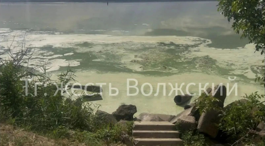 Едкая пена покрыла Волгу в Волжском: экологическая катастрофа из-за сброса нечистот 