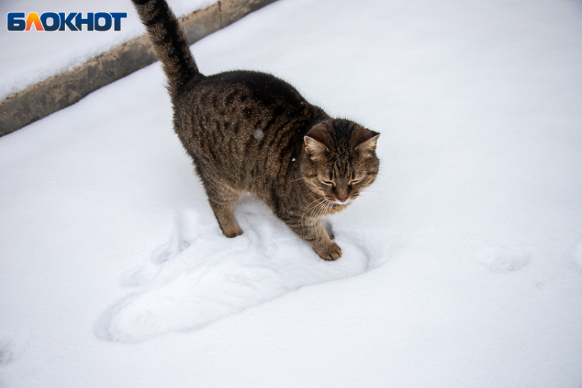 Мощный холодный фронт принесет рецидив зимы в Волжский