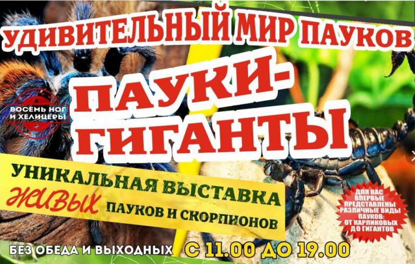 Спешите увидеть экзотическую живую коллекцию