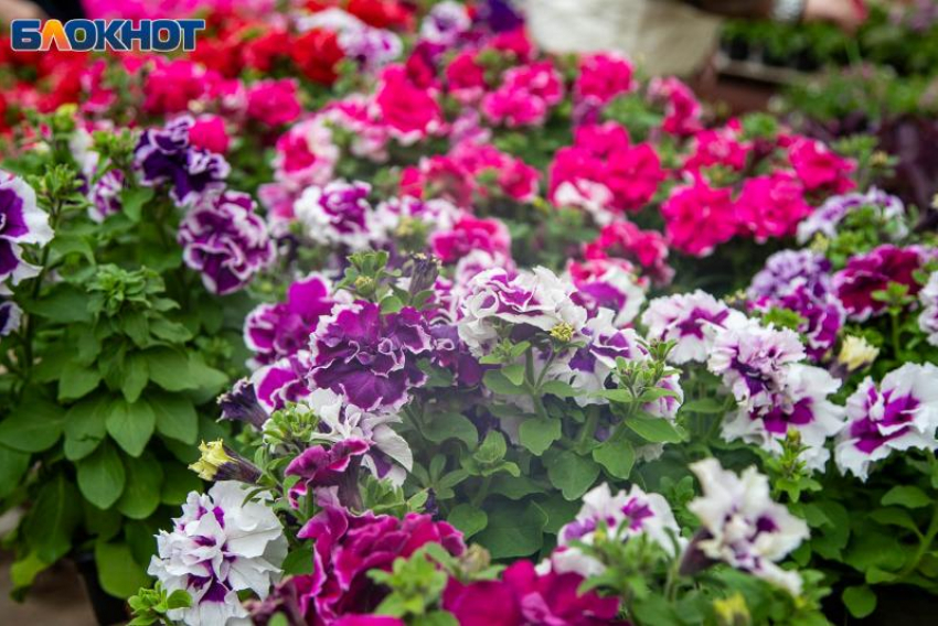 Сегодня важно действовать по правилам: гороскоп на 24 апреля