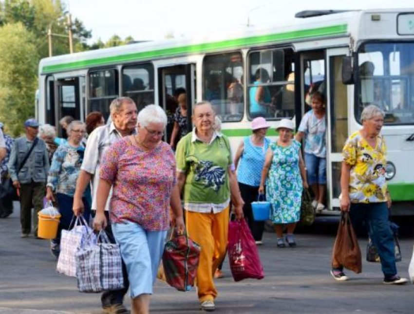 Семь дачных автобусов перешли на летнее расписание в Волжском