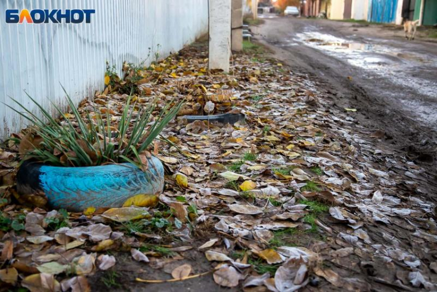 Отсутствие солнца и буря: прогноз погоды в Волжском