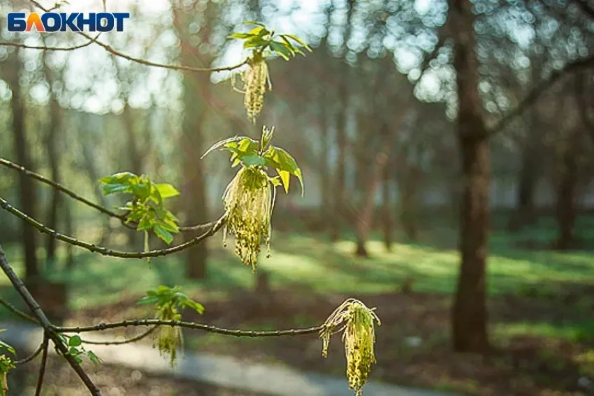 Солнце и жара +20: погода на понедельник в Волжском 