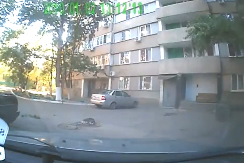 На юге Волгограда мужчина выкинул с балкона кошку