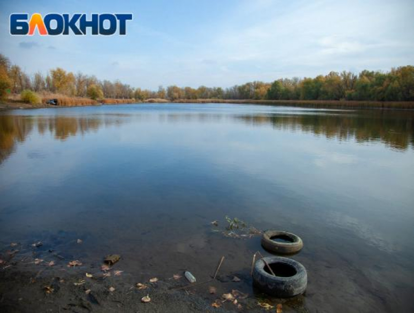 Волжских экологов приглашают принять участие в национальной премии