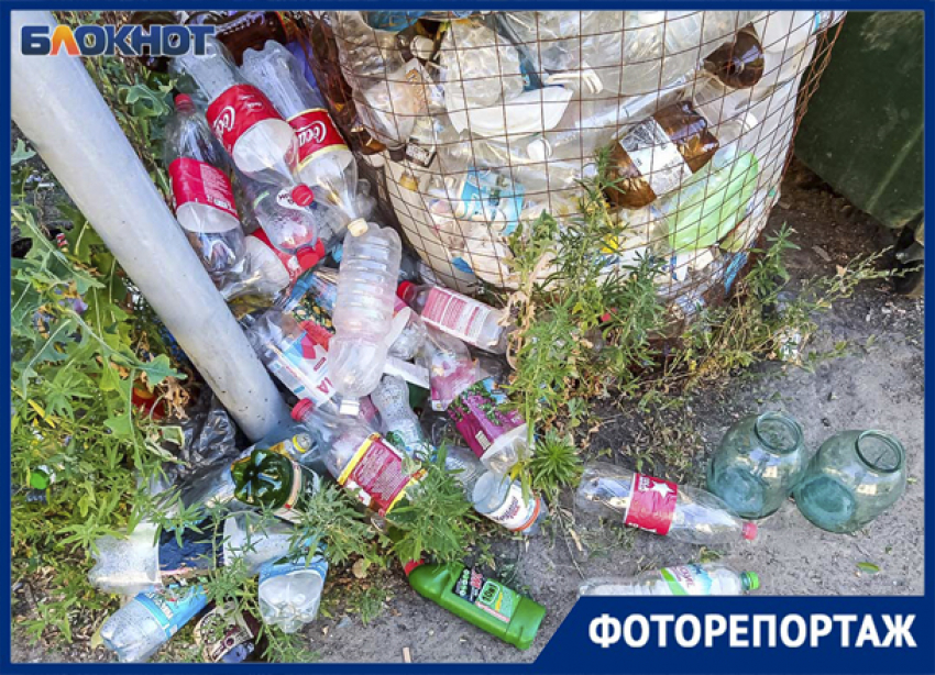 Экологичное потребление процветает в Волжском: куда сдать мусор, чтобы не навредить природе
