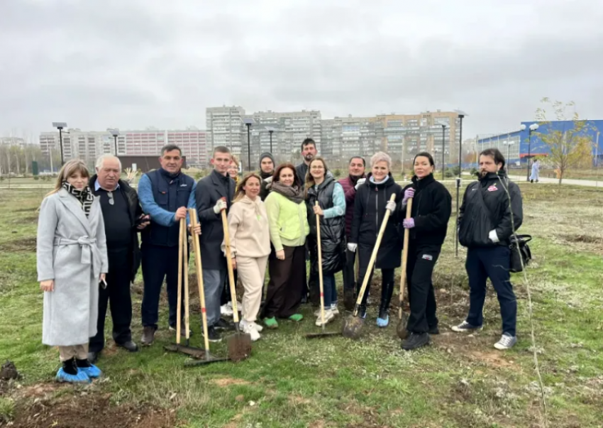 В Волжском высадили 100 молодых тополей Болле в парке  «Новый город»