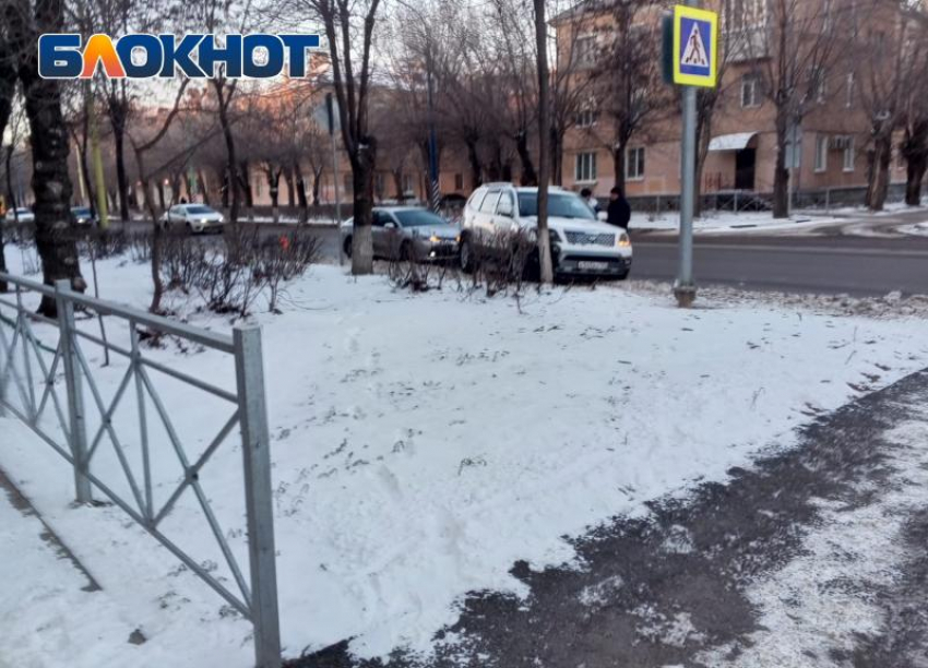 Иномарка врезалась в дерево в Волжском: фото с места