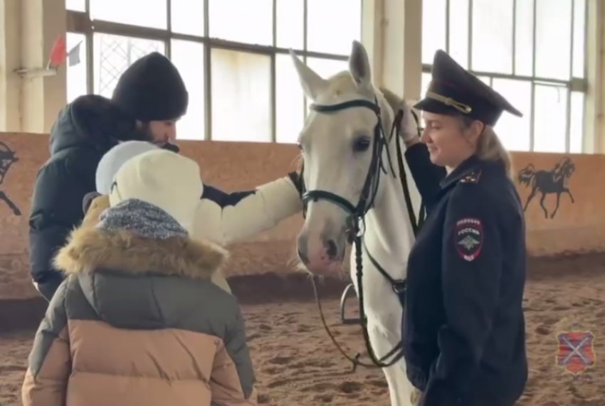 Копыта, лапы и подарки: в кавалерийском городке Волжского служебные животные принимали детей