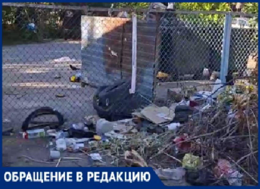 В Волжском решили развести крыс: волжане жалуются на полную антисанитарию во дворах города
