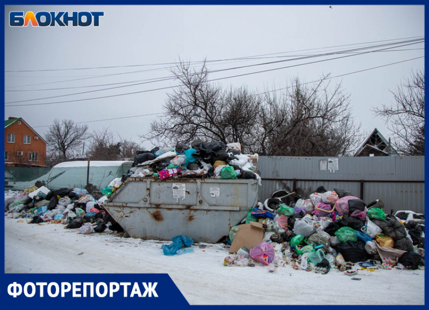На острове Зеленый волжский СНТ «Труд» захлебывается в отходах