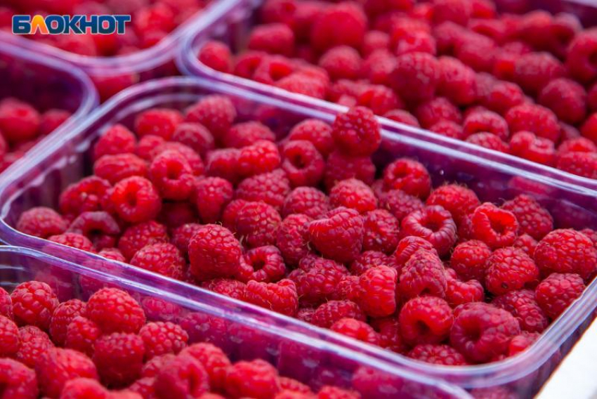 Администрация Волжского гоняет бабушек с фруктами: незаконная торговля оказалась главной проблемой?