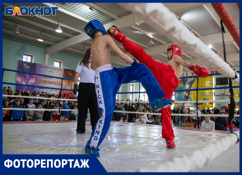 В Волжском 300 спортсменов вышли на турнир по кикбоксингу в честь юбилея городской федерации