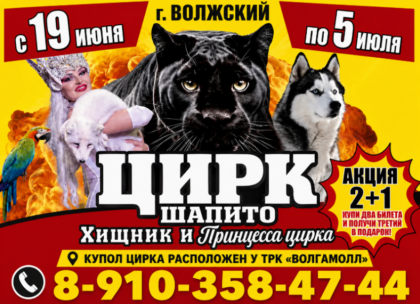 Билеты в цирк по акции 2+1