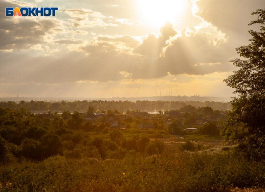 В день крысолова в Волжском будет переменная облачность: прогноз погоды