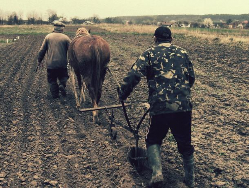 Четырехдневная рабочая неделя волнует умы трудящихся
