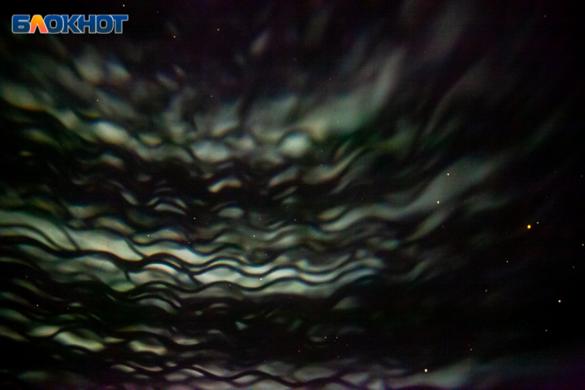 День словно проверяет на терпение: гороскоп на 26 декабря