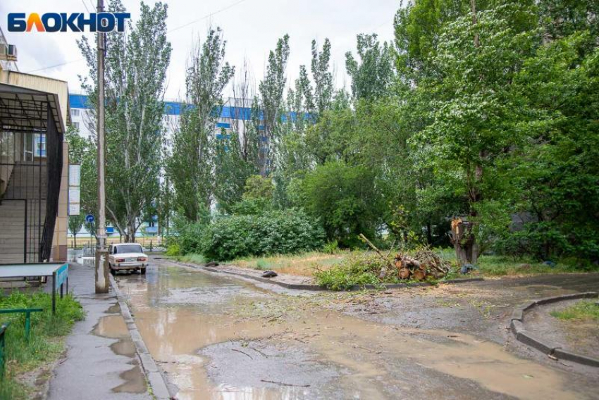 Сильный ветер прогнозируют в Волжском в четверг