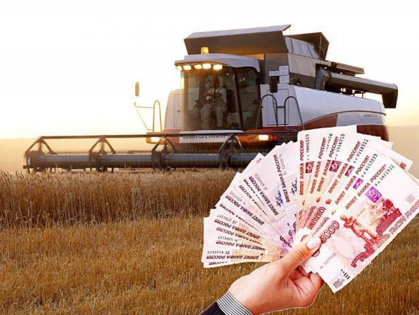 Фермеры из Быково обманули государство на 61 миллион рублей