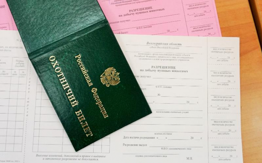 С верными компаньонами: в Волжском начнется сезон охоты на птиц
