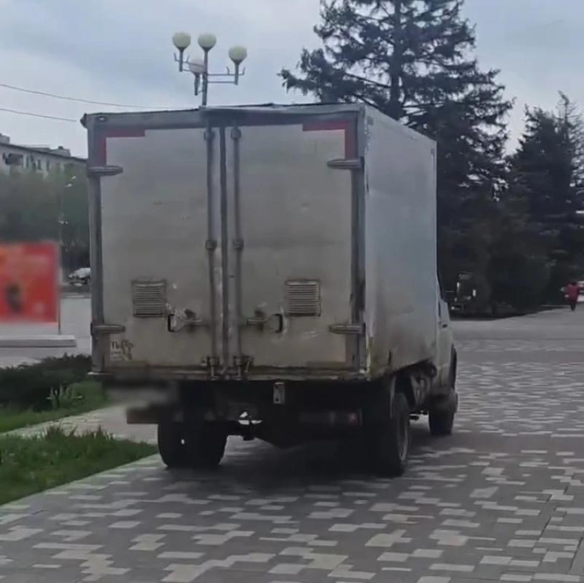 В Волжском «Газель» промчалась по тротуару мимо пешеходов: интернет помог полиции найти водителя