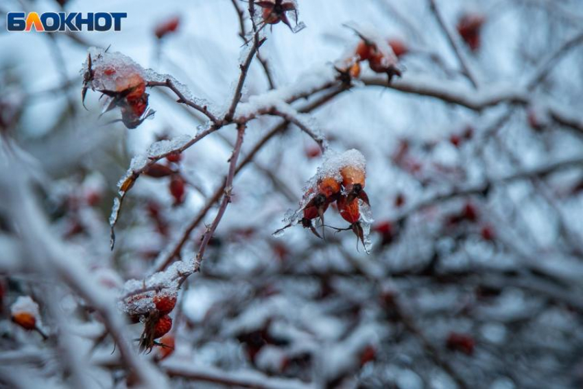 -20 градусов и солнце: прогноз погоды в Волжском
