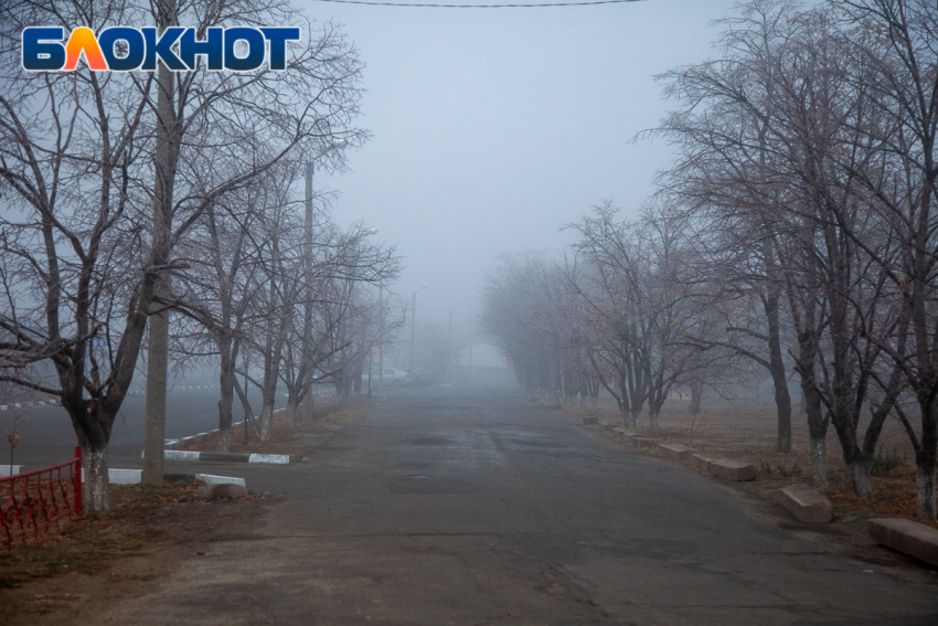 Синоптики объявили «желтый» уровень погодной опасности в Волгоградской области из‑за густого тумана
