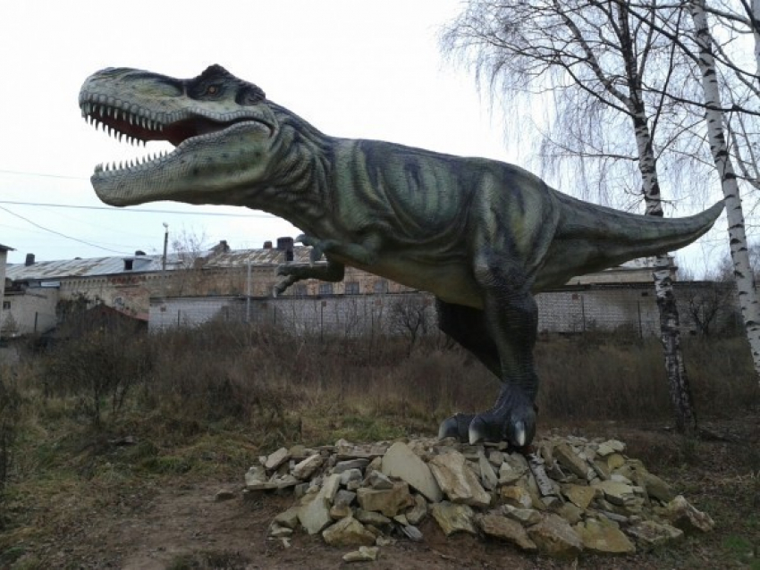 Волжанин заявил, что Волгоградская область может быть родиной динозавров