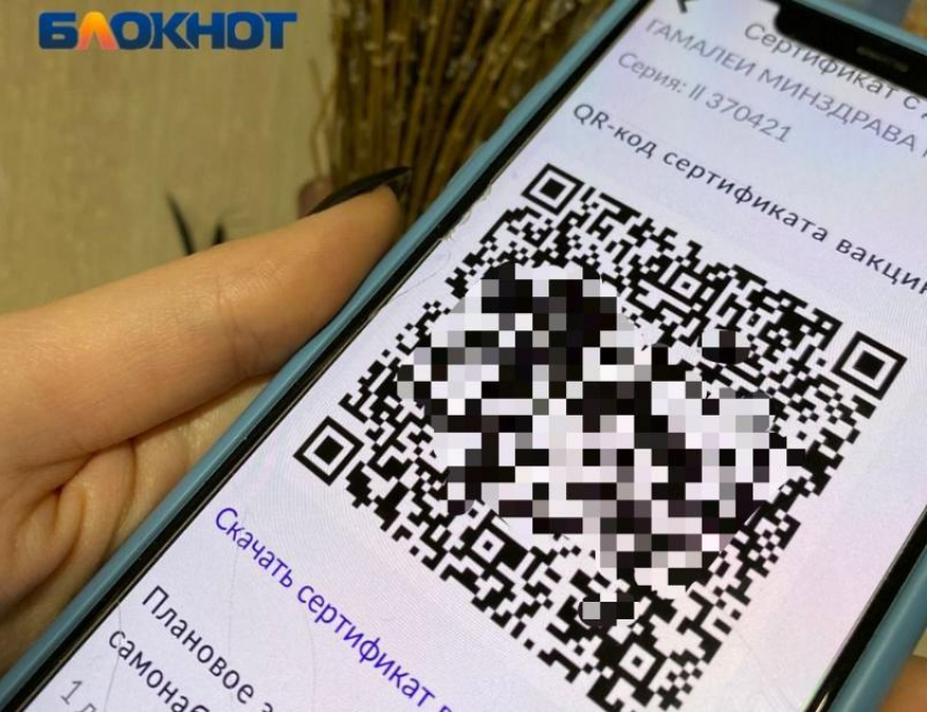 Закон о QR-кодах могут поставить на паузу в Волжском 