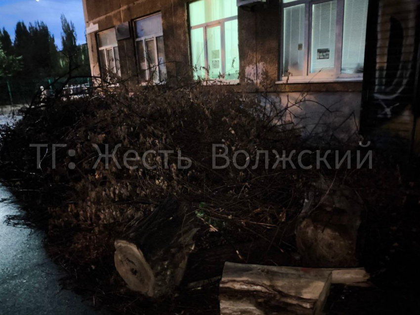 В Волжском рискуют жизнью детей? Клуб для малышей «Мечтатель» — на пороховой бочке