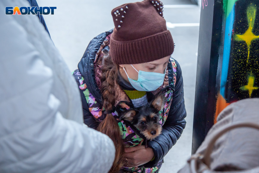 У большинства жителей Волжского нет QR-кодов