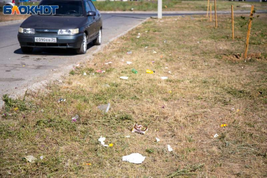 Уборку в сквере на Александрова планируют экоактивисты Волжского