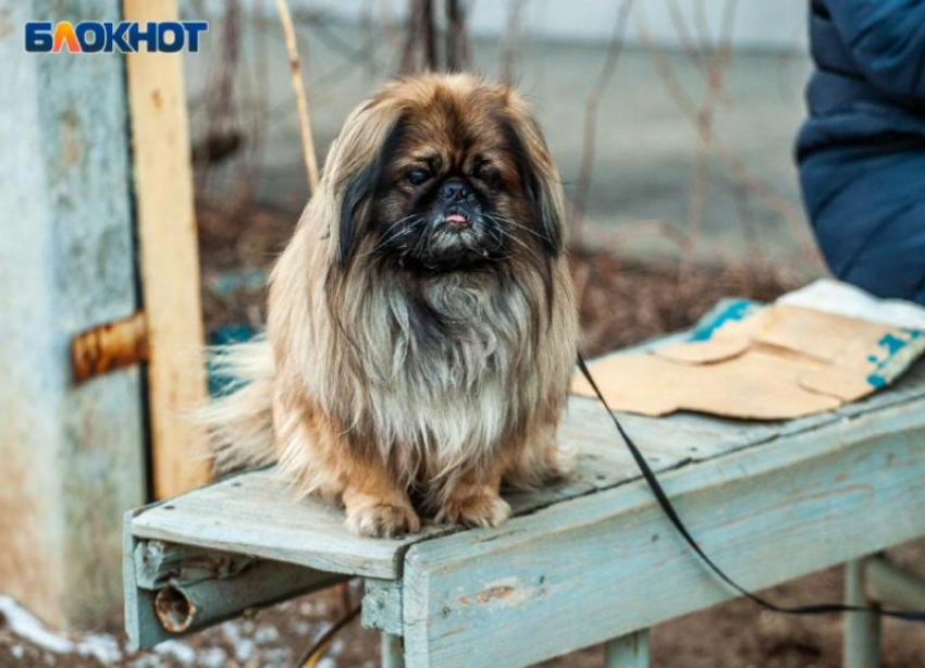 Пасмурно и холодно будет в четверг в Волжском: синоптики советуют надеть шапки