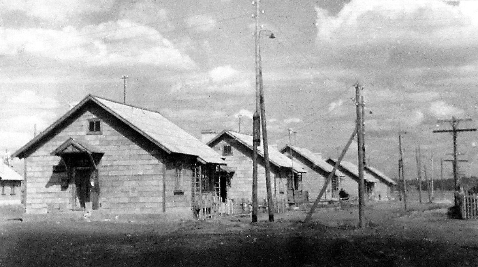 29 января 1952 года началась застройка острова Зеленый в Волжском