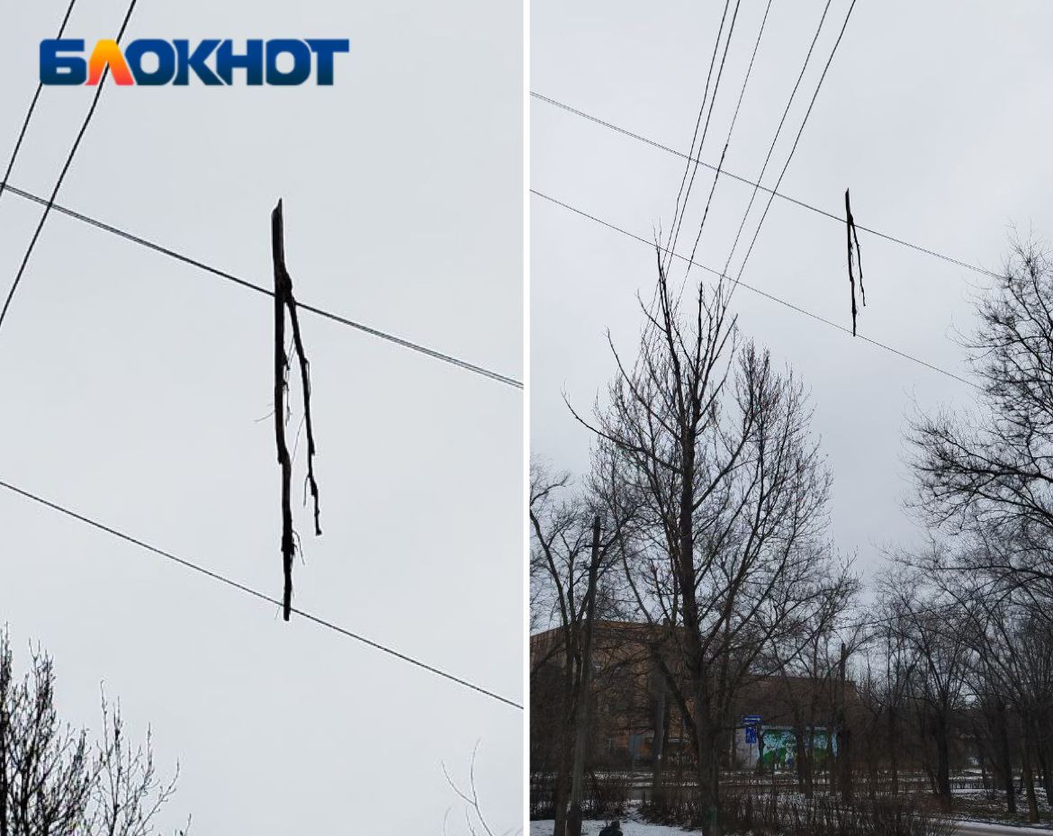 Большая ветка вторую неделю свисает с проводов над пешеходной дорожкой в  Волжском