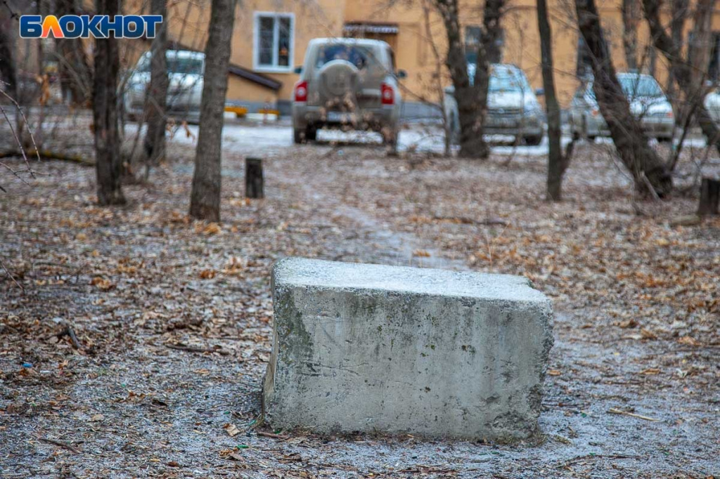 парков.jpg